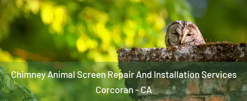  Chimney Animal Screen Repair And Installation Services Corcoran - CA
